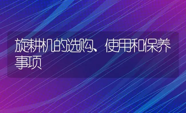 旋耕机的选购、使用和保养事项 | 农资农机