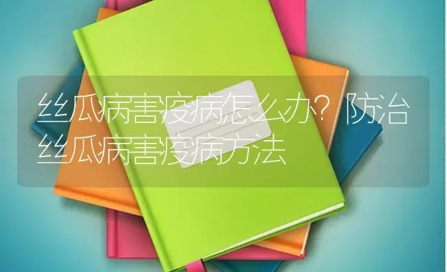 丝瓜病害疫病怎么办？防治丝瓜病害疫病方法 | 蔬菜种植