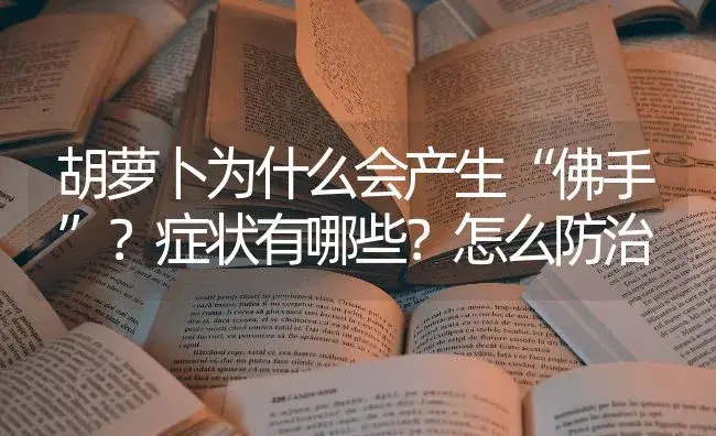 胡萝卜为什么会产生“佛手”？症状有哪些？怎么防治 | 蔬菜种植