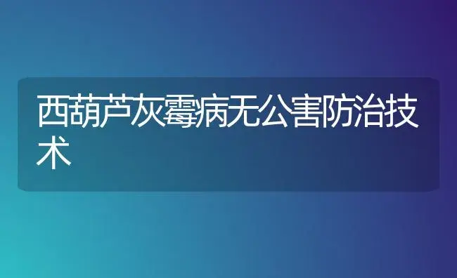 西葫芦灰霉病无公害防治技术 | 植物病虫害