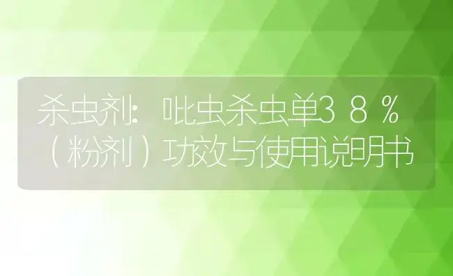 杀虫剂：吡虫杀虫单38%（粉剂） | 适用防治对象及农作物使用方法说明书 | 植物农药