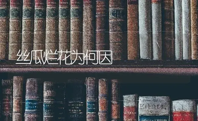 丝瓜烂花为何因 | 蔬菜种植