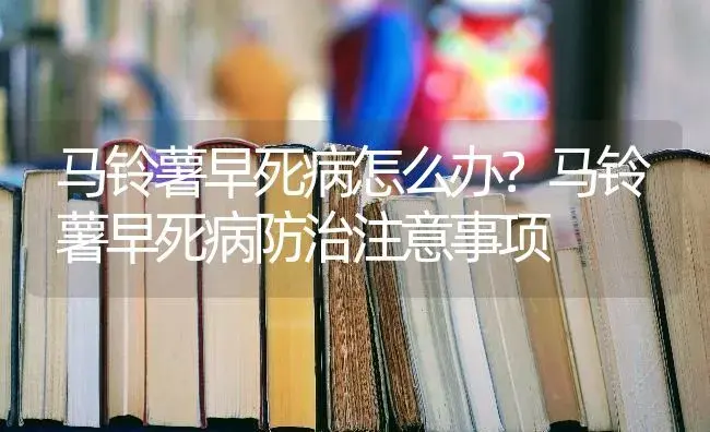 马铃薯早死病怎么办？马铃薯早死病防治注意事项 | 蔬菜种植