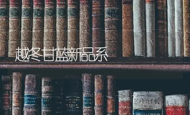 番茄早衰怎么办？ | 蔬菜种植