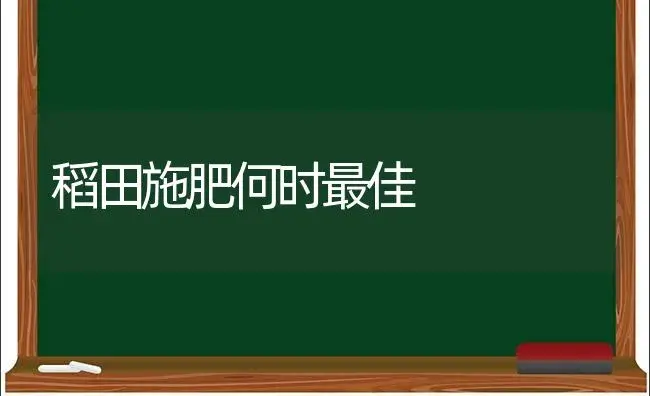 稻田施肥何时最佳 | 植物肥料