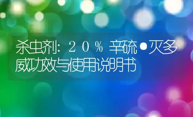 杀虫剂：20%辛硫·灭多威 | 适用防治对象及农作物使用方法说明书 | 植物农药