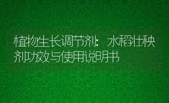 植物生长调节剂：水稻壮秧剂 | 适用防治对象及农作物使用方法说明书 | 植物农药