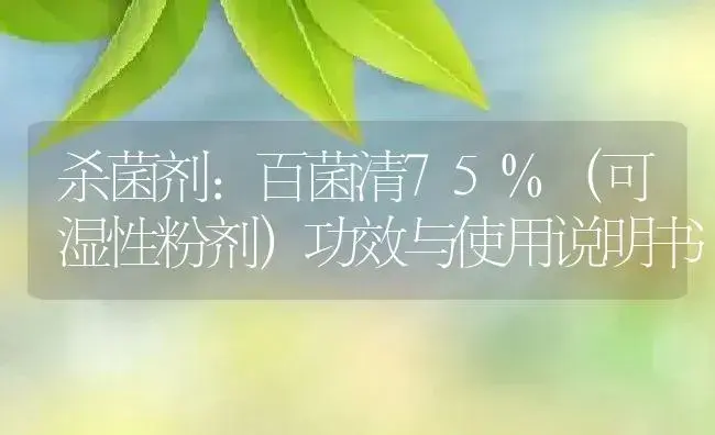 杀菌剂：百菌清75%（可湿性粉剂） | 适用防治对象及农作物使用方法说明书 | 植物农药