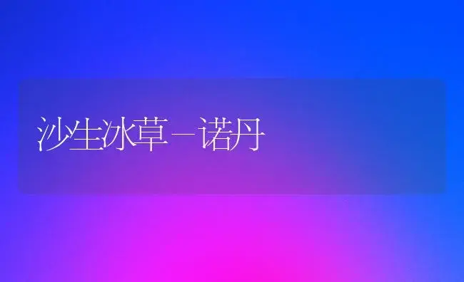 生物肥料——肥田灵 | 植物肥料