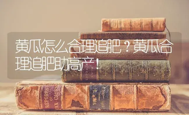 黄瓜怎么合理追肥？黄瓜合理追肥助高产！ | 蔬菜种植