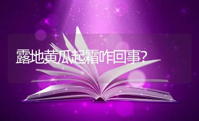 露地黄瓜起霜咋回事？ | 蔬菜种植