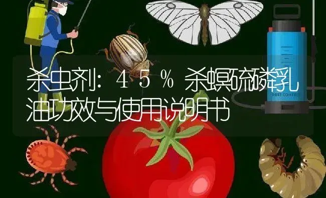 杀虫剂：45%杀螟硫磷乳油 | 适用防治对象及农作物使用方法说明书 | 植物农药