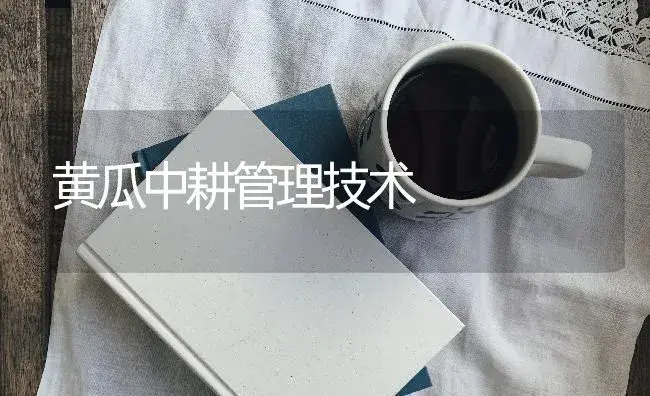 黄瓜中耕管理技术 | 蔬菜种植