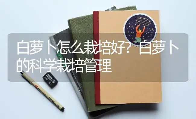 白萝卜怎么栽培好？白萝卜的科学栽培管理 | 蔬菜种植