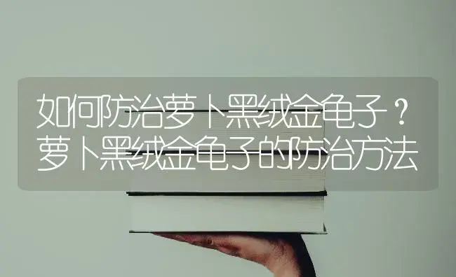 如何防治萝卜黑绒金龟子？萝卜黑绒金龟子的防治方法 | 蔬菜种植