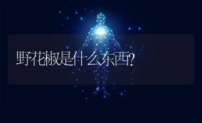 野花椒是什么东西？ | 蔬菜种植