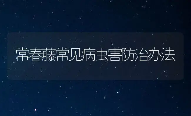 常春藤常见病虫害防治办法 | 植物病虫害