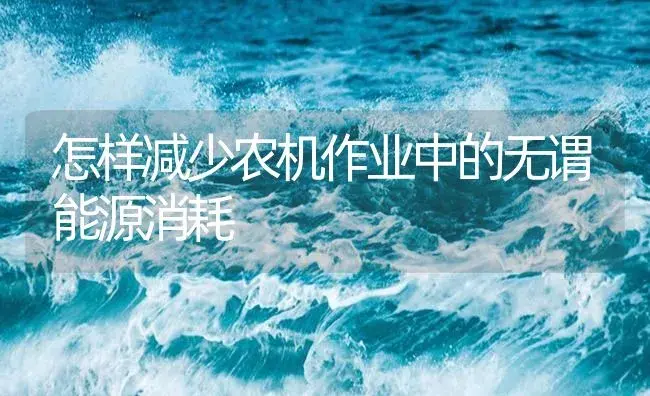 怎样减少农机作业中的无谓能源消耗 | 农资农机