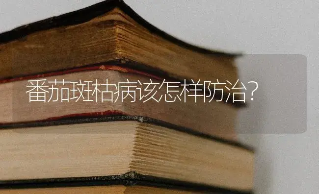 番茄斑枯病该怎样防治？ | 蔬菜种植