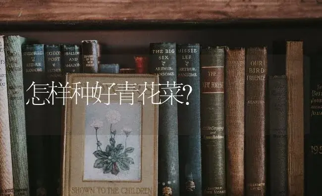 怎样种好青花菜？ | 蔬菜种植