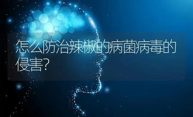 怎么防治辣椒的病菌病毒的侵害？ | 蔬菜种植