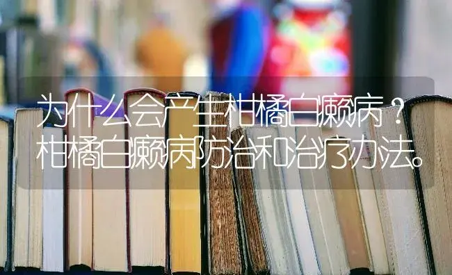 为什么会产生柑橘白癞病？柑橘白癞病防治和治疗办法。 | 蔬菜种植