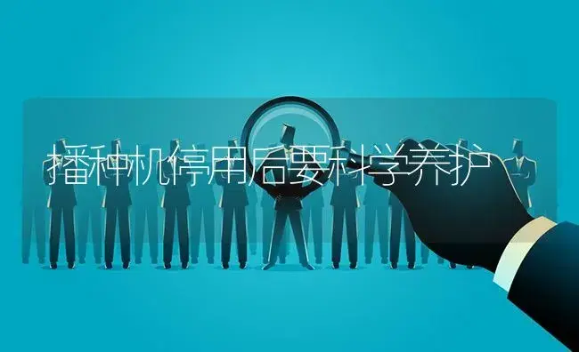 播种机停用后要科学养护 | 农资农机