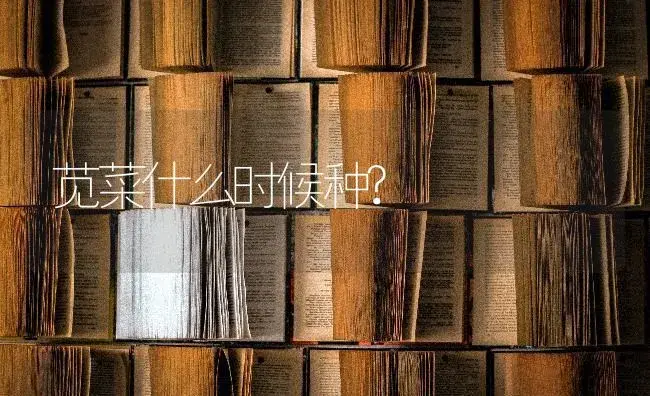 胡萝卜根个别叉该咋办？ | 蔬菜种植