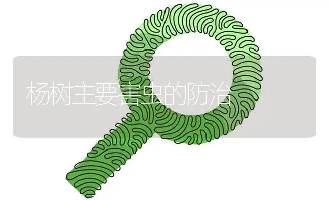 杨树主要害虫的防治 | 植物病虫害