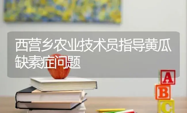 西营乡农业技术员指导黄瓜缺素症问题 | 蔬菜种植