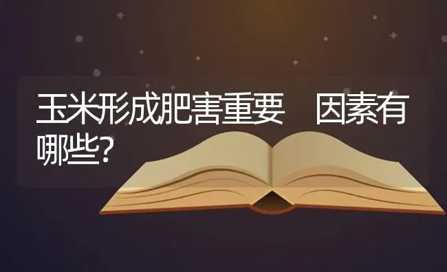 玉米形成肥害重要 因素有哪些？ | 蔬菜种植