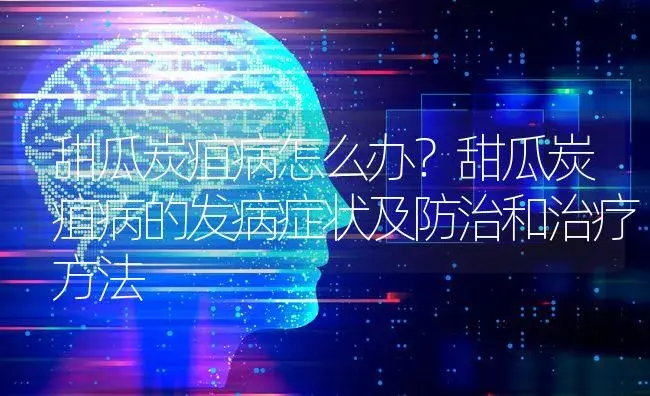 甜瓜炭疽病怎么办？甜瓜炭疽病的发病症状及防治和治疗方法 | 蔬菜种植