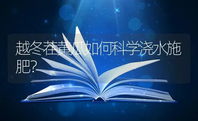 越冬茬黄瓜如何科学浇水施肥？ | 蔬菜种植