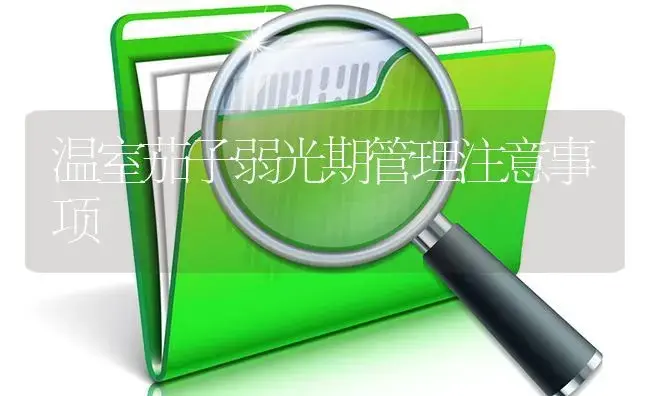 温室茄子弱光期管理注意事项 | 植物病虫害