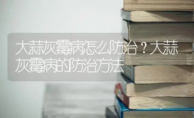 大蒜灰霉病怎么防治？大蒜灰霉病的防治方法 | 蔬菜种植