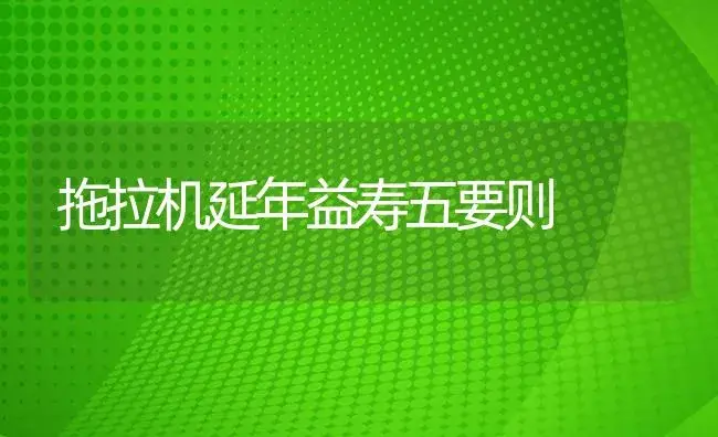 拖拉机延年益寿五要则 | 农资农机