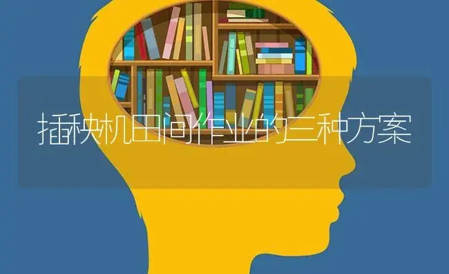 插秧机田间作业的三种方案 | 农资农机