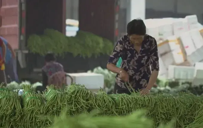 浙江丽水金林美依靠菜发家，种啥啥好卖，卖啥啥赚钱！