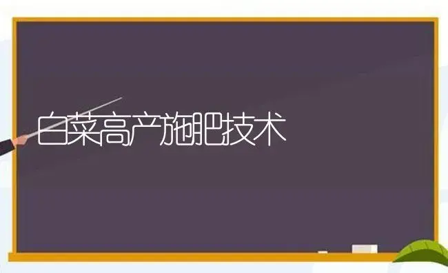 白菜高产施肥技术 | 植物肥料