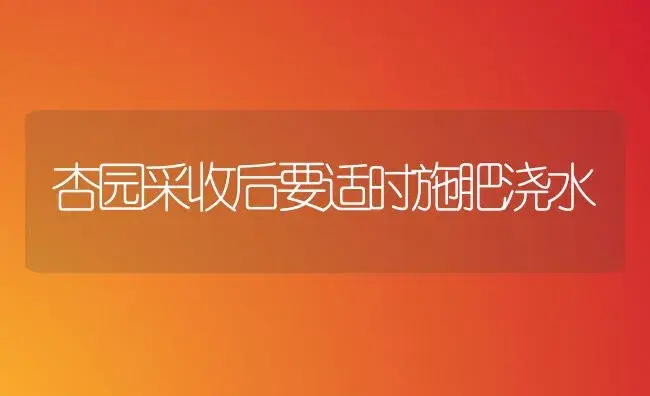 杏园采收后要适时施肥浇水 | 植物肥料