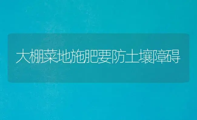 大棚菜地施肥要防土壤障碍 | 植物肥料