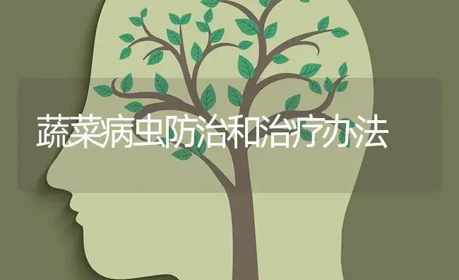 蔬菜病虫防治和治疗办法 | 蔬菜种植