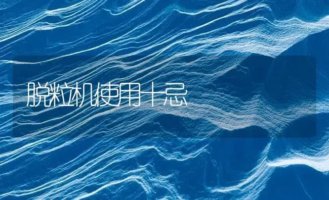 脱粒机使用十忌 | 农资农机