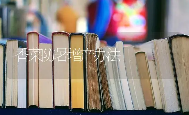 玉米地膜覆盖种植 | 蔬菜种植