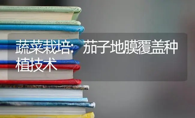 蔬菜栽培:茄子地膜覆盖种植技术 | 蔬菜种植