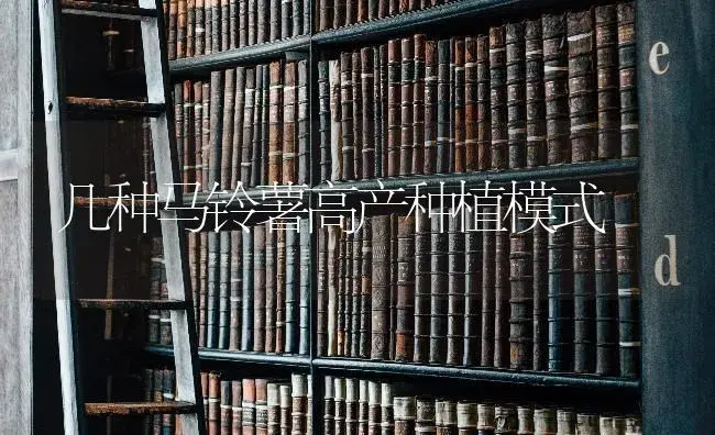 几种马铃薯高产种植模式 | 蔬菜种植