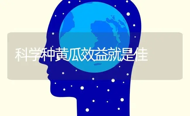 科学种黄瓜效益就是佳 | 蔬菜种植