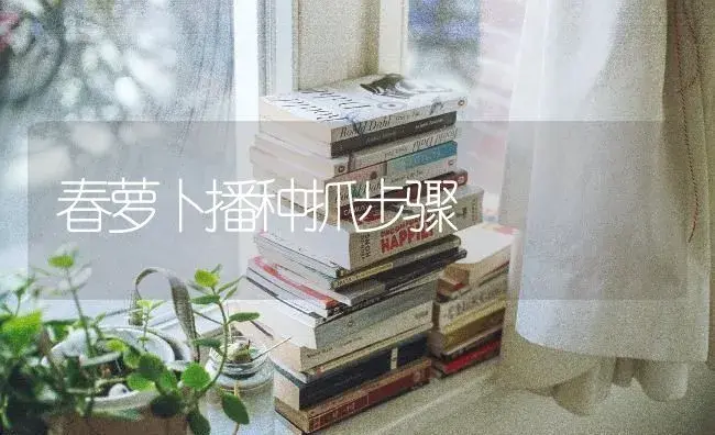 春萝卜播种抓步骤 | 蔬菜种植