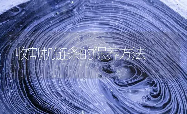 收割机链条的保养方法 | 农资农机