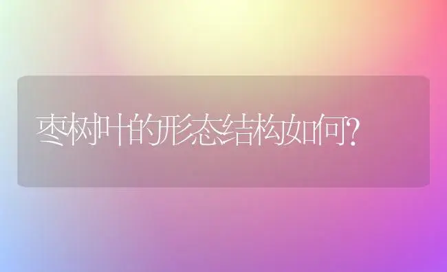 对君子兰危害最大的有哪几种病害?怎样预防? | 植物病虫害